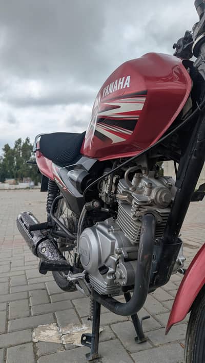 yb 125z for sale