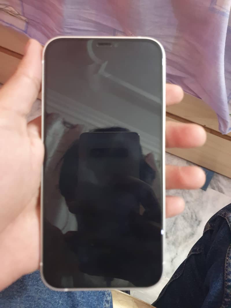 Apple iPhone 12 2