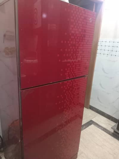 Pel Fridge , Medium size