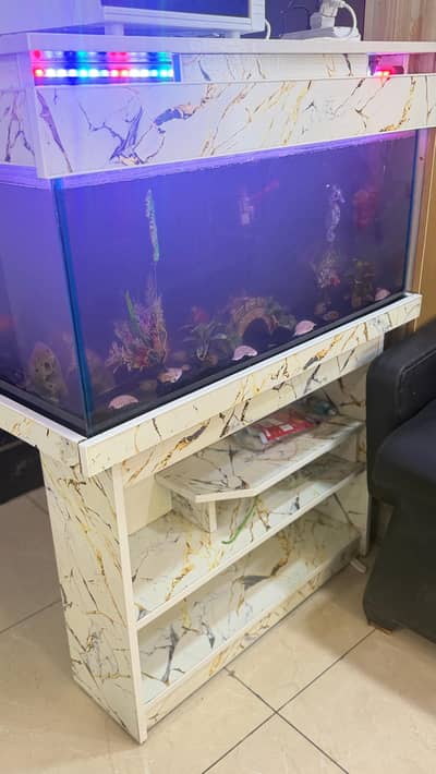 fish box class