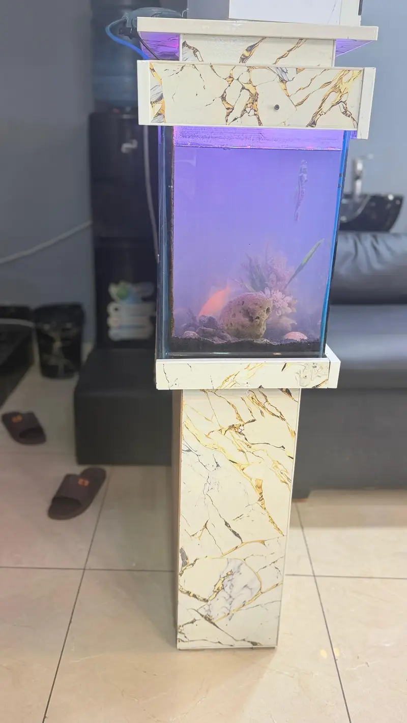 fish box class — photo 2