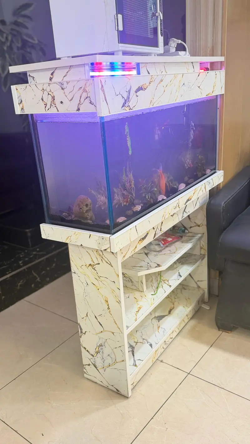 fish box class — photo 3