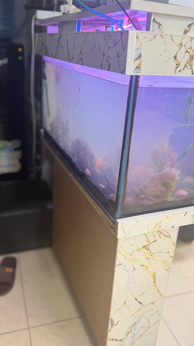 fish box class 3