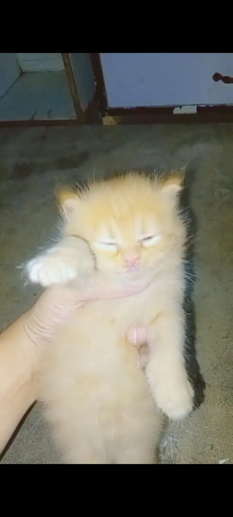punch face — photo 2