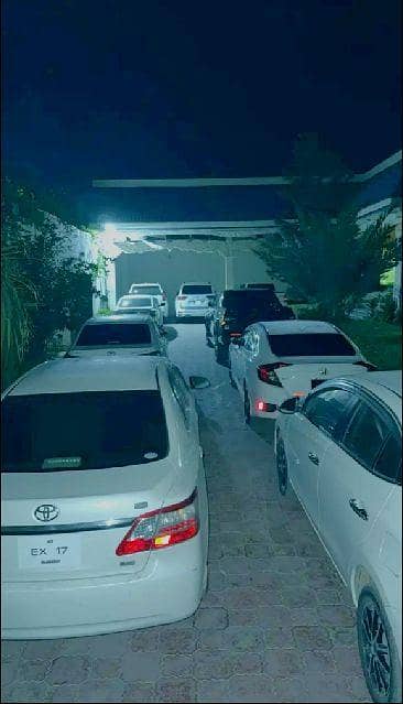 Professional driver Available O33O8217258