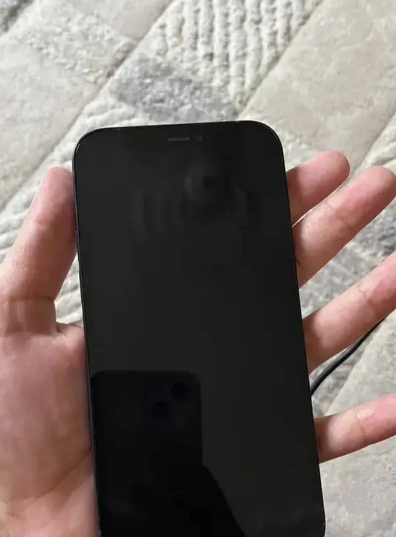 Apple iPhone 12 1