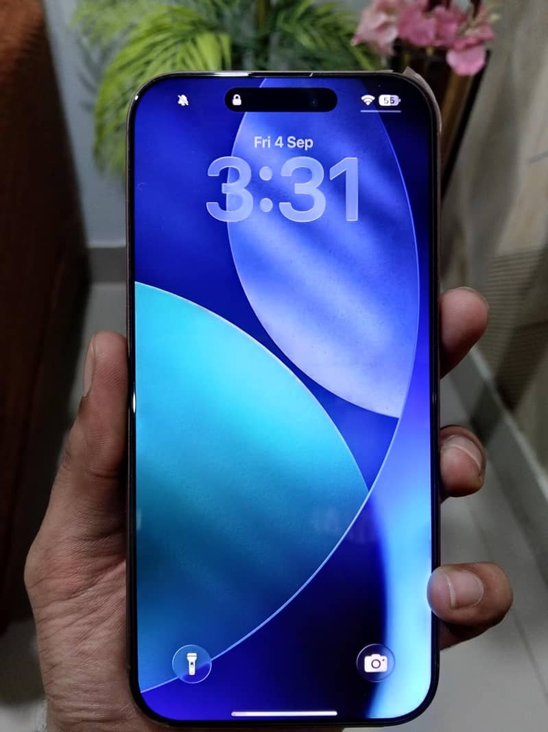 Apple iPhone 16 Pro Max 1
