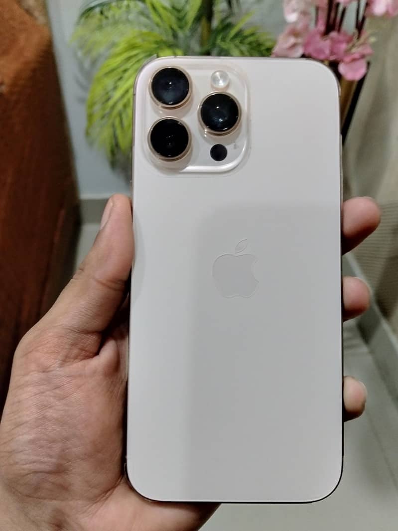Apple iPhone 16 Pro Max 2