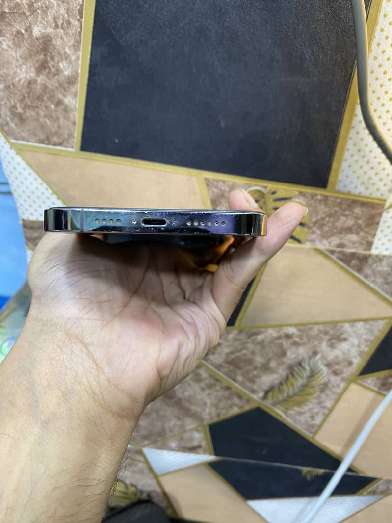 Apple iPhone 13 Pro Max 1