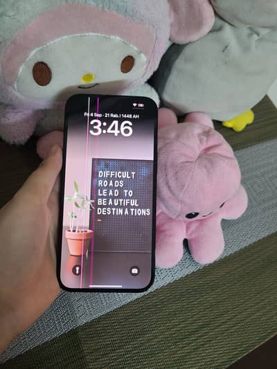 Apple iPhone 14 Pro Max