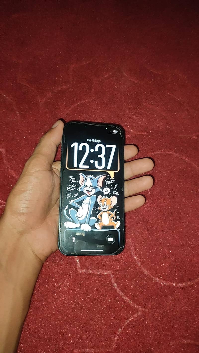 Apple iPhone 13 0