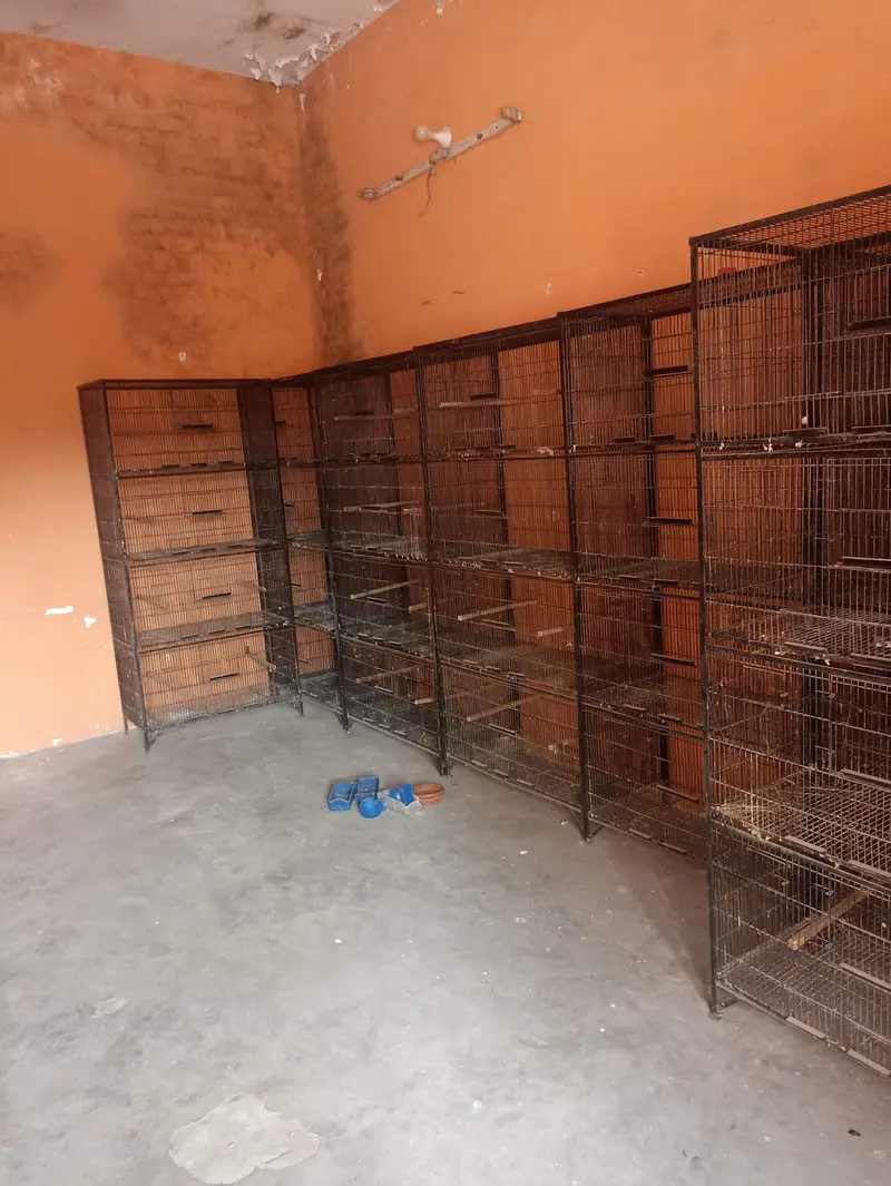 Premium Quality Cages For Birds — photo 2