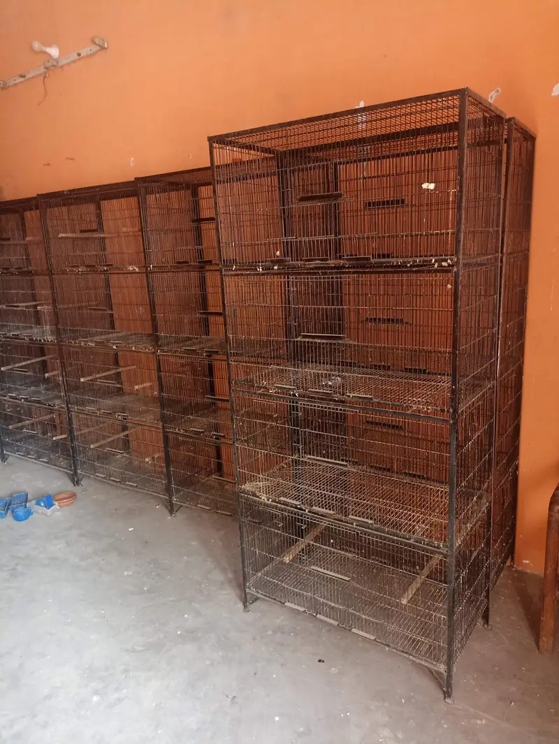 Premium Quality Cages For Birds — photo 3