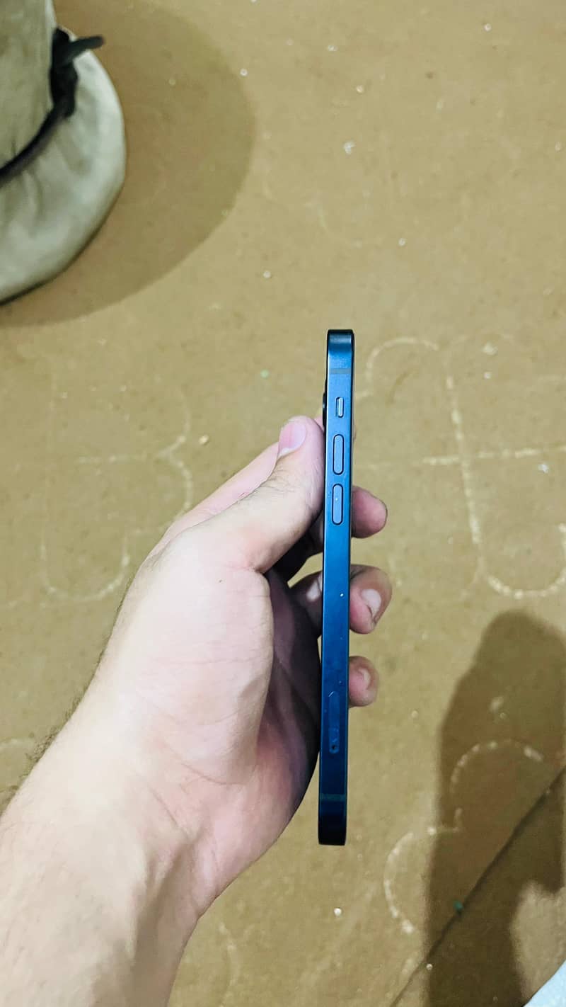 Apple iPhone 12 1