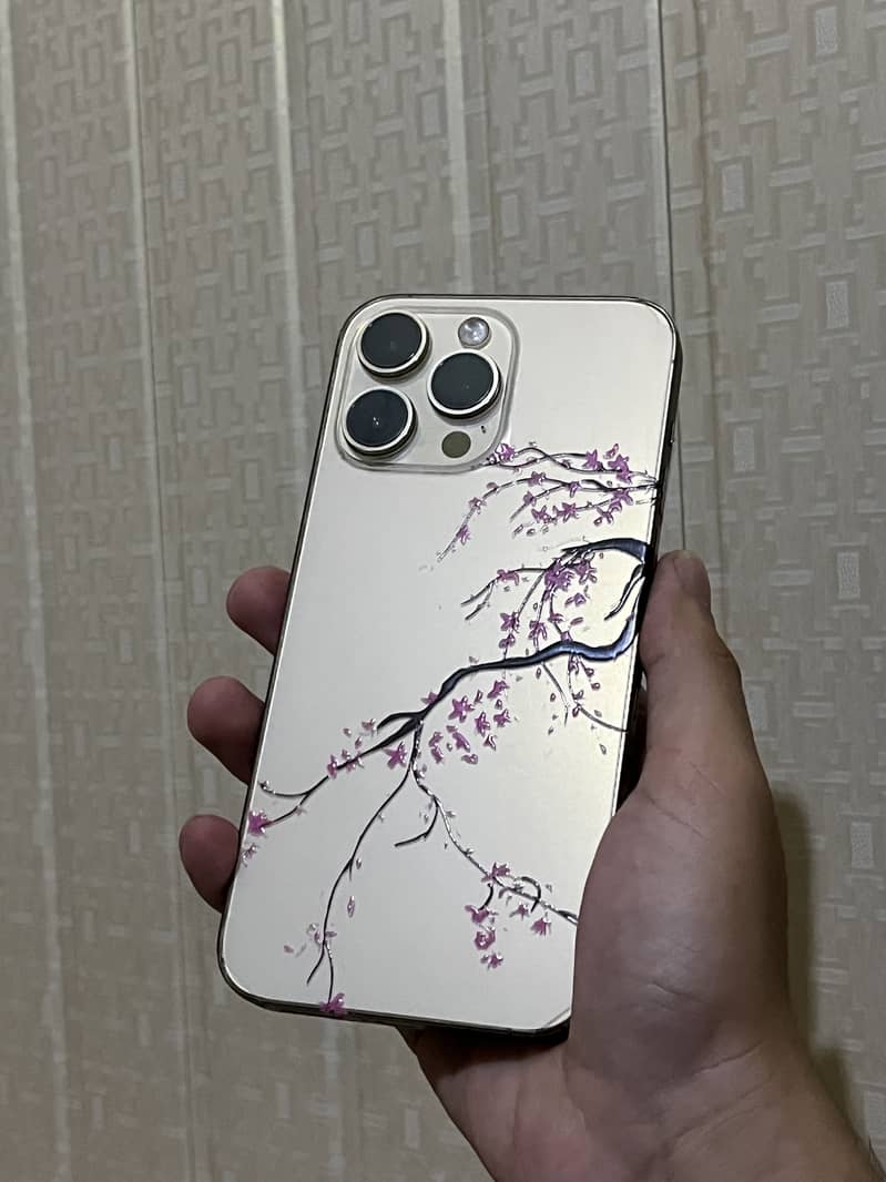 Apple iPhone 14 Pro Max 3