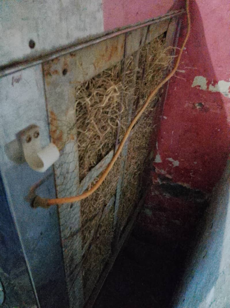 Room cooler 2