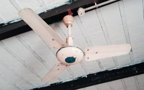 ceiling Fan