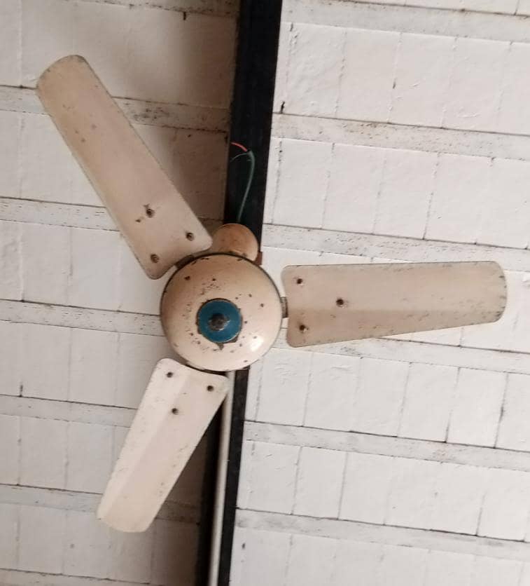 ceiling Fan 1