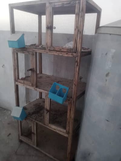 cage and stool