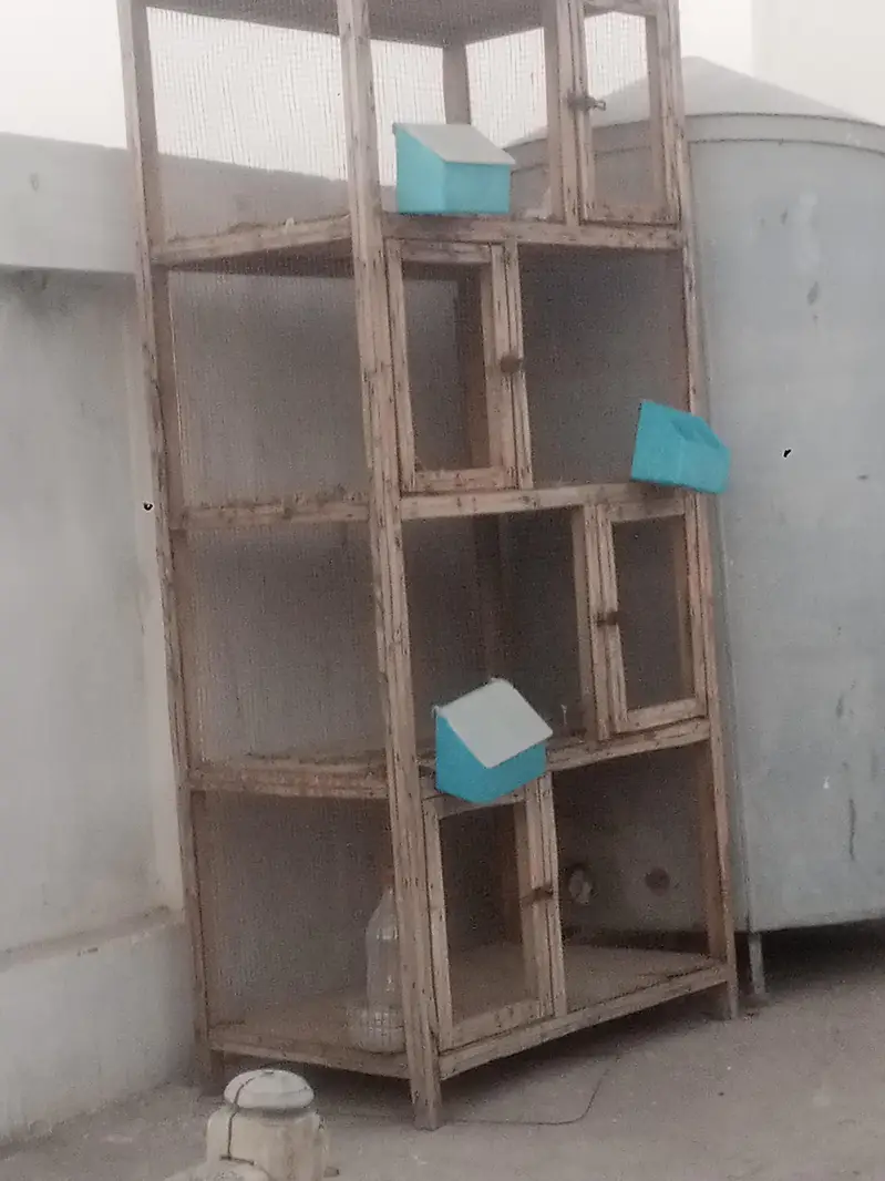 cage and stool — photo 2