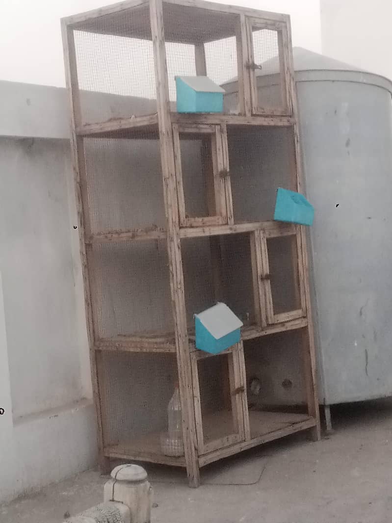 cage and stool 2