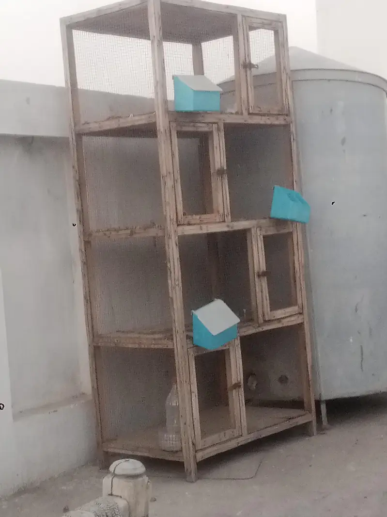 cage and stool — photo 3