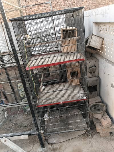 3 portion cage