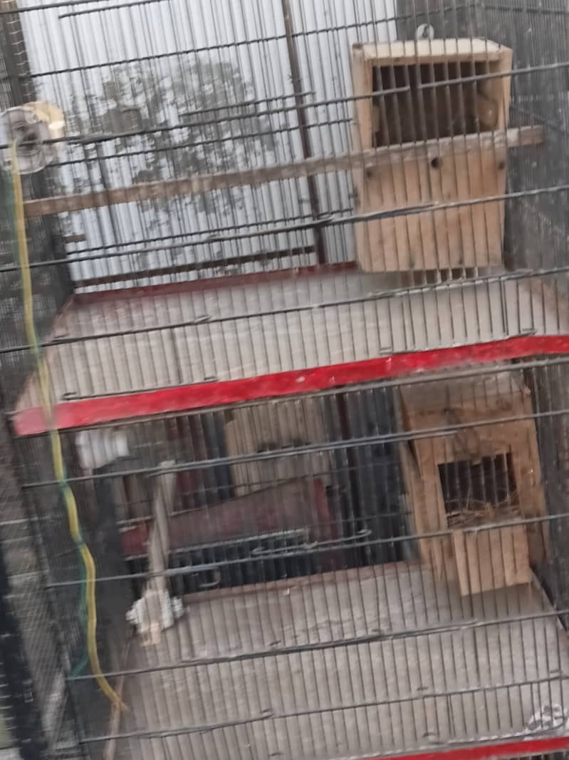 3 portion cage 1
