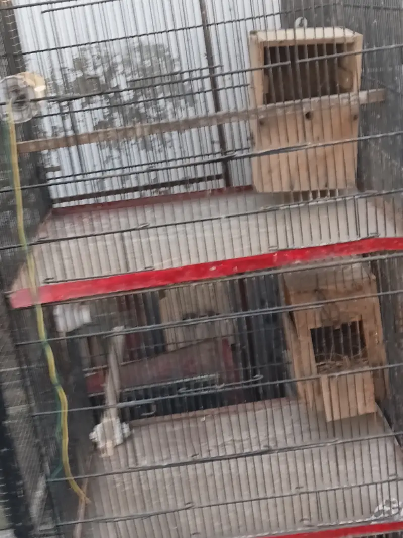 3 portion cage — photo 2