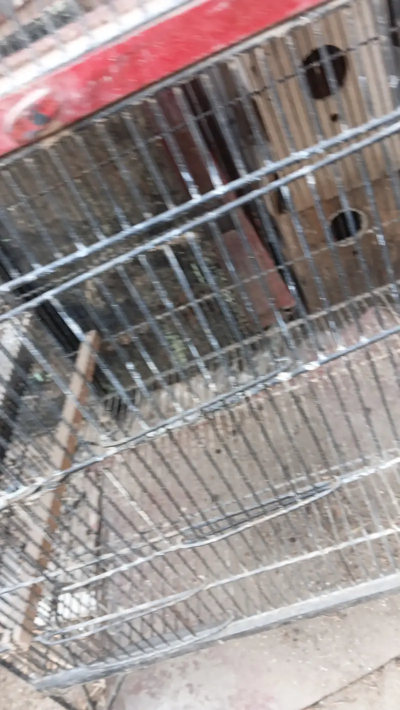 3 portion cage — photo 3