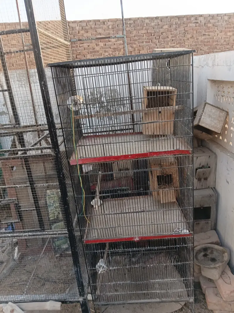 3 portion cage — photo 4