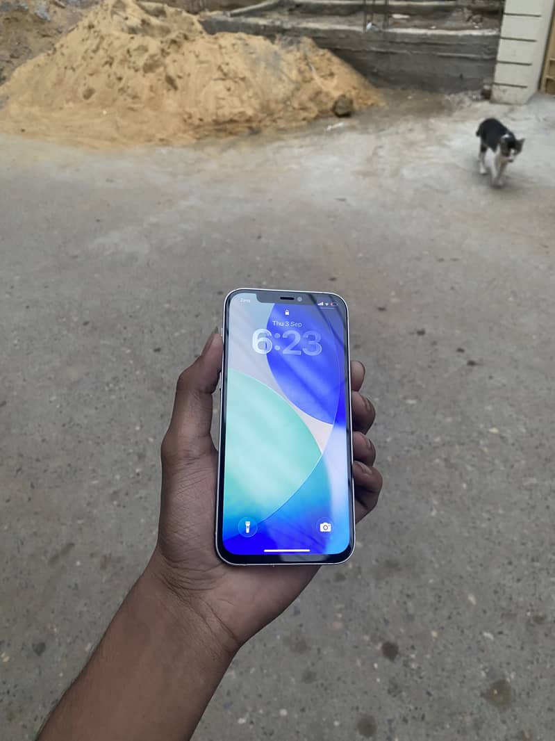 Apple iPhone 12 1
