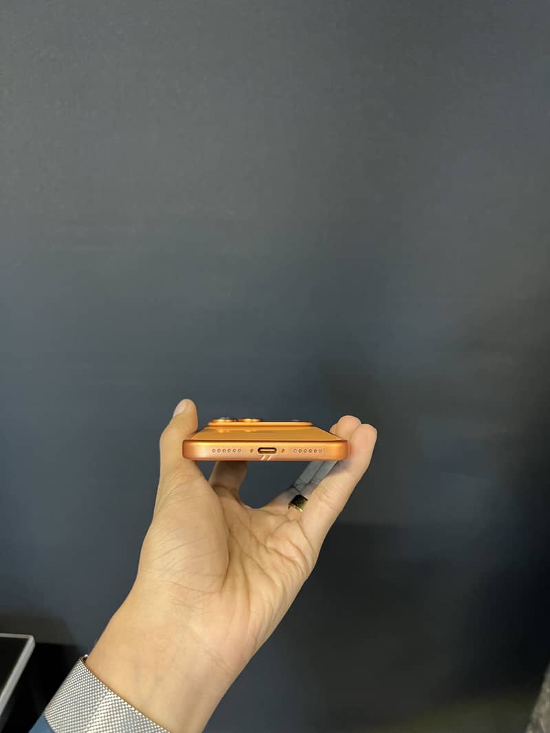 Apple iPhone 17 Pro Max 2