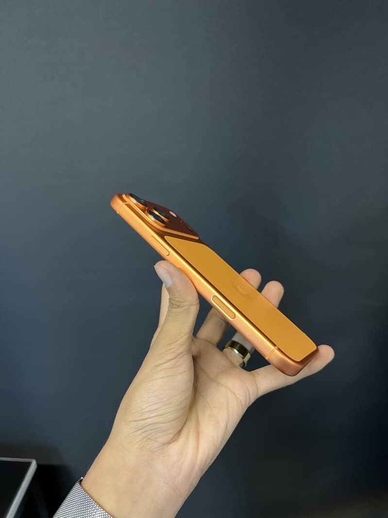 Apple iPhone 17 Pro Max 3