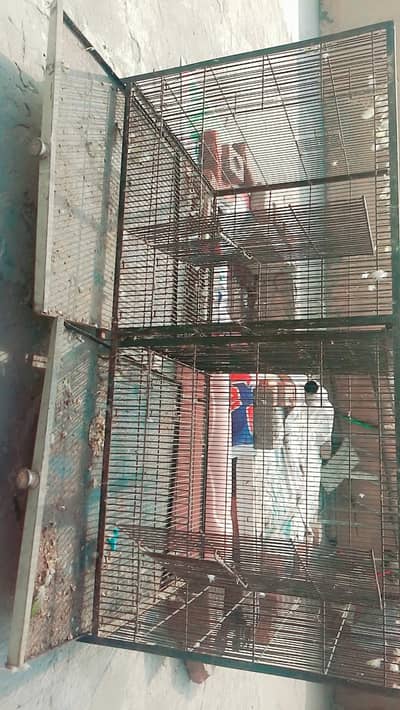 cages raw 2 folding 1 two portion cage 3 breeding boxes 3 Dana water