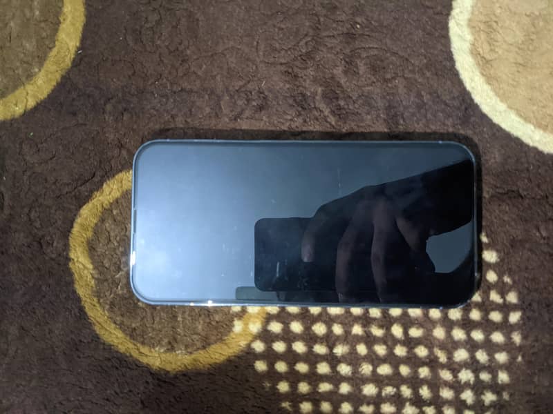 Apple iPhone 13 Pro Max 1