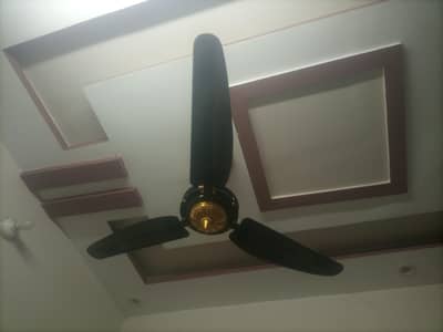 Full Size Ceiling Fans
