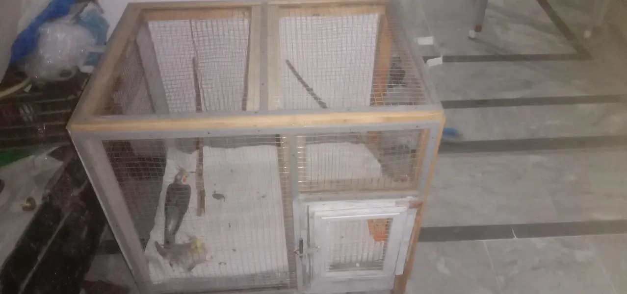 wooden cage — photo 3
