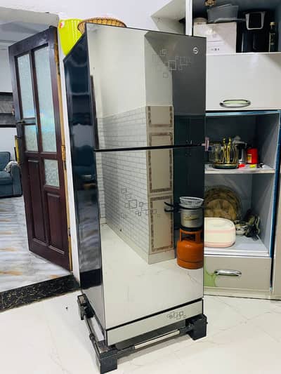 Refrigerator and freezer glass door