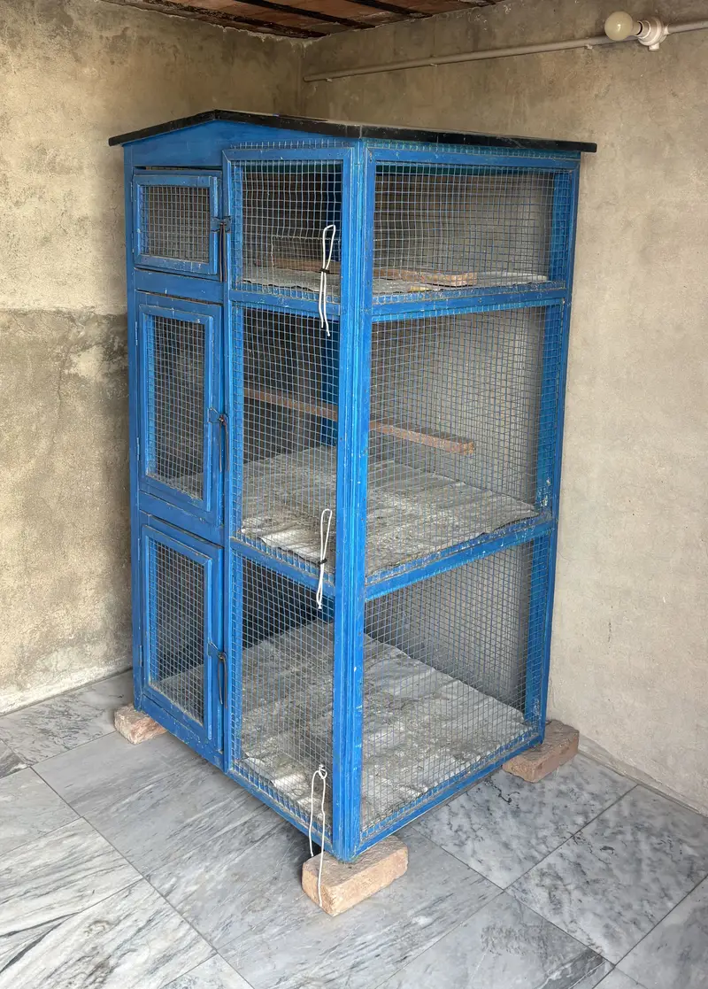 Pigeon Cage — photo 2