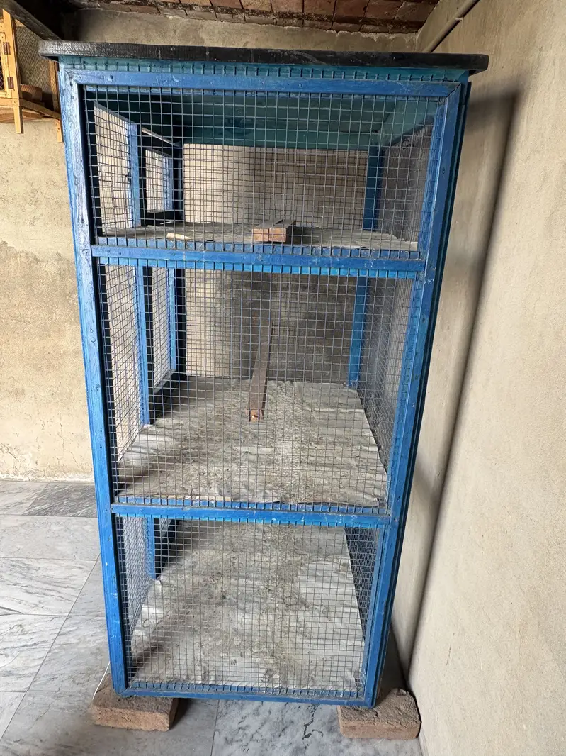 Pigeon Cage — photo 3