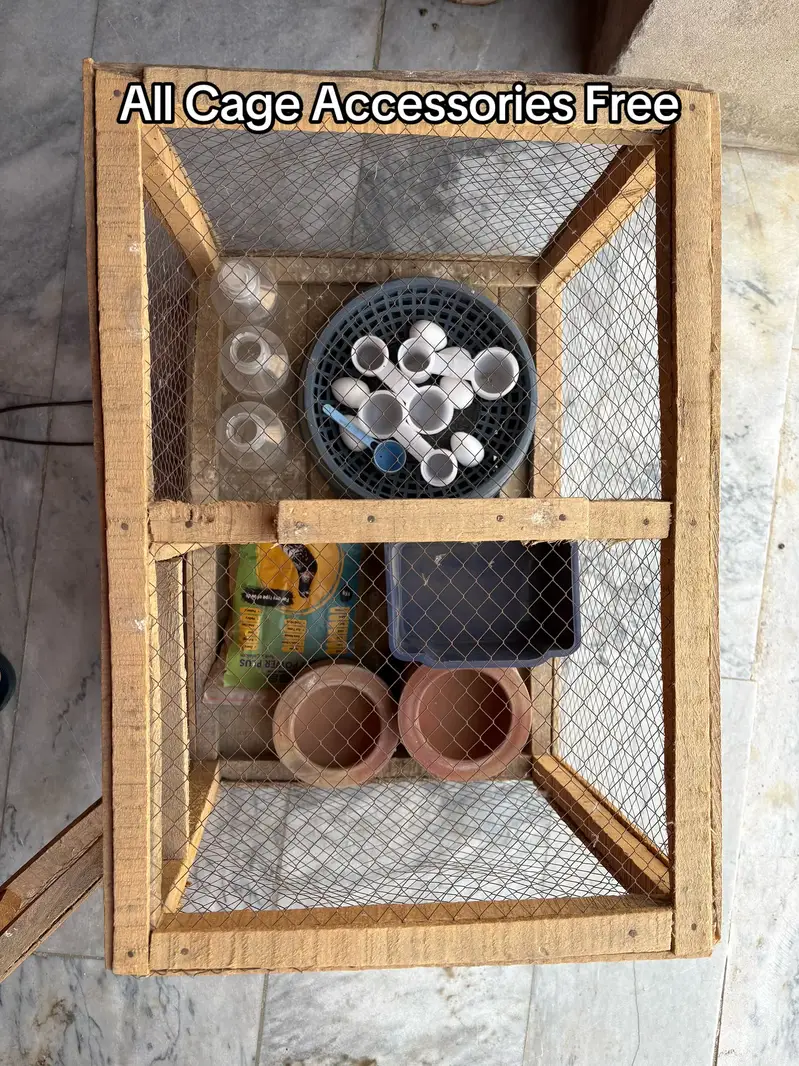 Pigeon Cage — photo 4