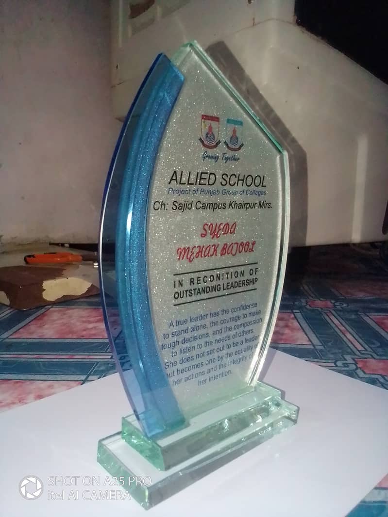 Shields Awards 2