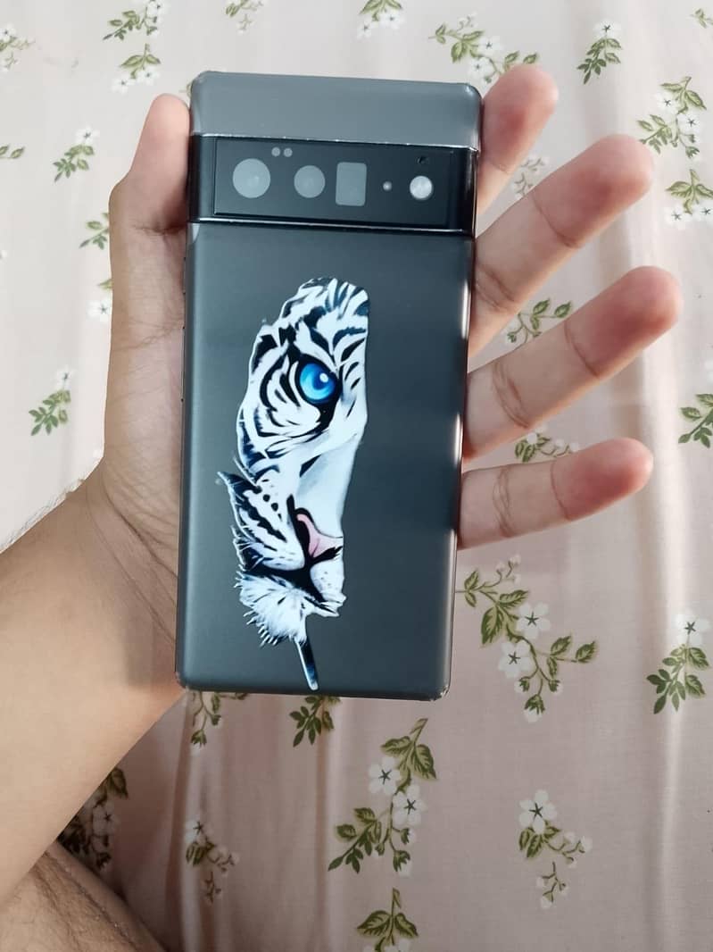 Google Pixel 6 Pro 0
