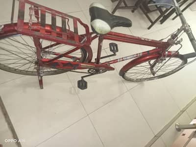 cycle hai