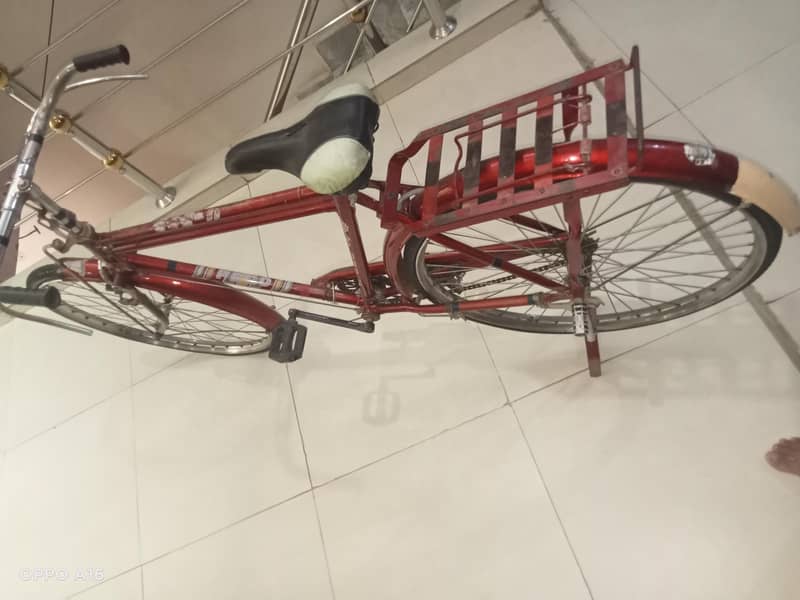 cycle hai 2