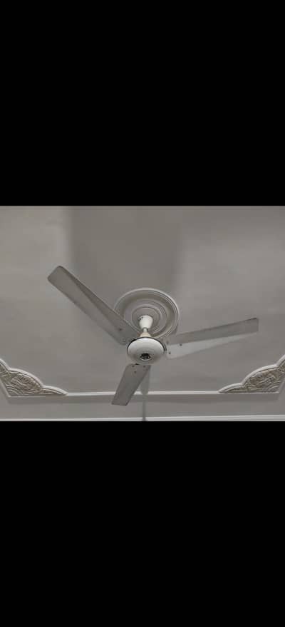 Pak Fan 56" Good Condition, Qty:03, 5500/ Each fan
