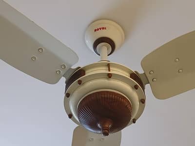 Royal Ceiling fan