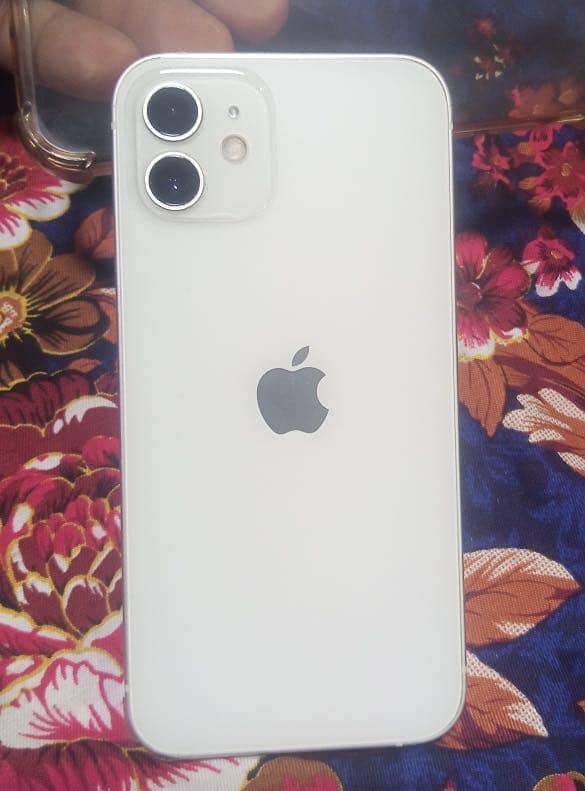 iPhone 12 0