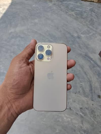 13 pro